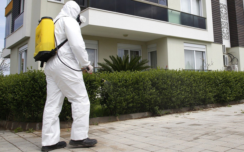 ¹æ¿ª Àü¹®ÆÀ